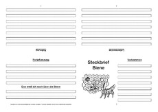 Biene-Faltbuch-vierseitig-1.pdf